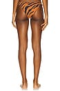 view 3 of 4 Twisted Side Bikini Bottom in Brown Zebra