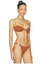view 2 of 4 Bravissimo Bikini Top in Truffle