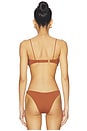 view 3 of 4 Bravissimo Bikini Top in Truffle
