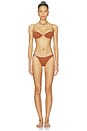 view 4 of 4 Bravissimo Bikini Top in Truffle