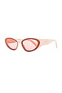 view 2 of 3 COSMO 선글라스 in Blush