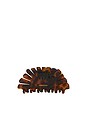 view 2 of 3 Peacock Hair Clasp in Chocolate