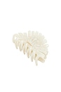view 1 of 3 BROCHE PARA EL PELO PEACOCK  in Cream