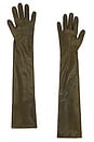 view 2 of 2 GUANTES LEATHER LONG  in Olive