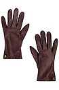 view 1 of 2 GUANTES LEATHER in Burgundy