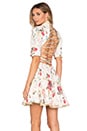 view 1 of 6 RUNWAY Mischief Corset Laced Dress in Floral