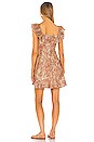 view 4 of 4 Brighton Ruffle Neck Dress in Sherbet Paisley