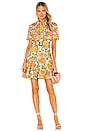 view 1 of 3 Poppy Belted Mini Dress in Sunshine Floral