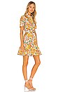 view 2 of 3 Poppy Belted Mini Dress in Sunshine Floral