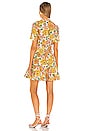 view 3 of 3 Poppy Belted Mini Dress in Sunshine Floral