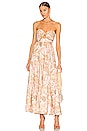 view 1 of 4 Andie Tie Front Dress in Sepia Floral