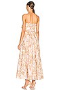 view 4 of 4 Andie Tie Front Dress in Sepia Floral