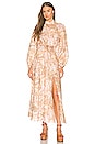 view 2 of 4 Andie Billow Maxi Dress in Sepia Floral