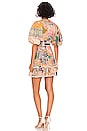 view 3 of 3 Ruffle Hem Mini Dress in Patch Paisley