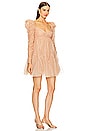 view 2 of 4 Ruched Mini Dress in Nude & Gold Dot