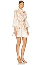 view 2 of 3 Illustration Buttoned Mini Dress in Cream Rococo Floral