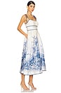 view 2 of 3 Wylie Picnic Dress in Blue Palm