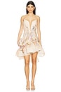 view 1 of 4 Illuminate Draped Mini Dress in Ivory Tropical