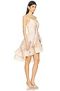 view 2 of 4 Illuminate Draped Mini Dress in Ivory Tropical
