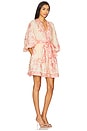 view 2 of 3 Lucky Plunge Mini Dress in Cream & Floral Pink