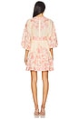 view 3 of 3 Lucky Plunge Mini Dress in Cream & Floral Pink