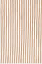 view 4 of 4 MINIVESTIDO FRUNCIDO in Tan Stripe