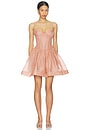 view 1 of 3 Luna Corset Mini Dress in Peony