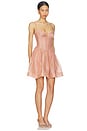 view 2 of 3 Luna Corset Mini Dress in Peony