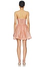 view 3 of 3 Luna Corset Mini Dress in Peony