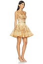 view 2 of 3 Luna Twist Mini Dress in Tan Perla Paisley