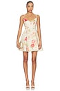 view 1 of 3 ROBE COURTE ROSELIGHT in Cream Rose Floral