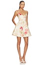 view 2 of 3 ROBE COURTE ROSELIGHT in Cream Rose Floral