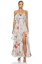 view 1 of 3 MAXIVESTIDO ROSELIGHT in Blue Rose Floral