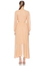 view 3 of 3 Valiant Embroidered Bib Dress in Dusty Coral