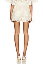 view 4 of 6 Wanderlust Tuck Short in Cream & Ivory