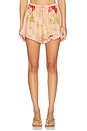 view 1 of 1 SHORT ROSELIGHT FRILL  in Pink Rose Floral