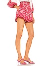 view 2 of 4 Nina Belted Short in Watermelon Print