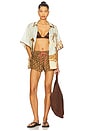 view 5 of 6 Coco Relaxed Short in Brown & Cream