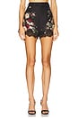 view 1 of 6 Lace Trimmed Short in Black Cascade