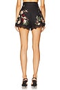 view 4 of 6 Lace Trimmed Short in Black Cascade