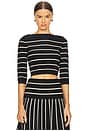 view 1 of 4 Crush Stripe Cropped Top in Black & Cream