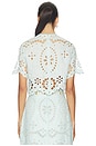 view 3 of 4 Awaken Embroidered Bodice in Mint