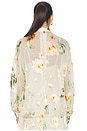 view 3 of 4 Carousel Burnout Blouse in Cream Rose