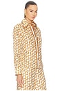 view 2 of 5 Fitted Shirt in Cream Ribbon