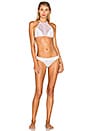 view 1 of 3 Zephyr Lace Halter Bikini Set in Floral