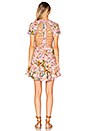 view 4 of 4 Tropicale Lattice Dress in Pink Floral