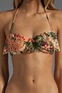 view 4 of 6 Elixir Lace Frill Bandeau Bikini with Low Pant in Floral