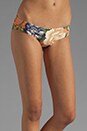 view 5 of 6 Elixir Lace Frill Bandeau Bikini with Low Pant in Floral