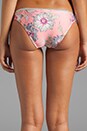view 6 of 6 Celestial Frill Triangle Bikini in Spliced