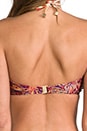 view 4 of 8 Instinct Layered Frill Bikini in Splice